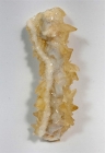 Calcite on Barite Stalactite, Minerva #1 Mine, Hardin County, Illinois