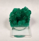 "Chatham" Emerald Crystal Cluster, *Lab Grown*, San Francisco, CA., 14.88 g / 74.4 cts.,