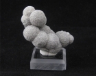 Crandallite, ps. of Wavellite, Mauldin Mt., Montgomery Co., Arkansas , #02