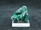 Dioptase Specimen, (Min), Congo