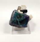 Fluorite, Aquamarine, Schorl, & Quartz on Feldspar, Erongo Mountains, Namibia