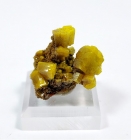 Pyromorphite, Bunker Hill Mine, Kellogg, Idaho