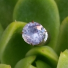 Montana Missouri River Sapphire, 2.38 carats