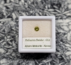 Pallasitic Peridot Gem .18 cts., 3.60 mm, with G.I.A. Report