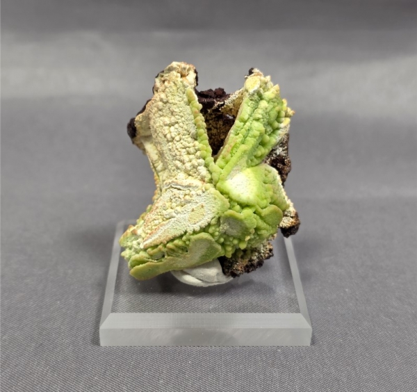 Phosphohedyphane over Cerussite on Copper, M'fouati, Bouenza Dept., Republic of Congo