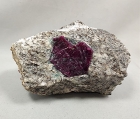 Corundum var. Ruby in Matrix, Kleggåsen Ruby Quarry, Froland, Agder, Norway