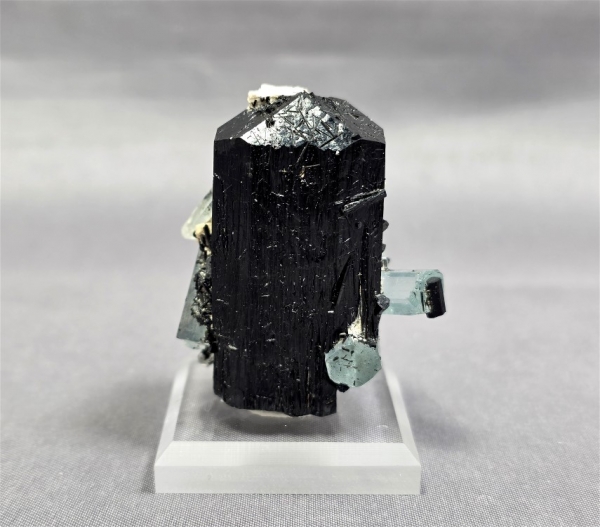 Schorl & Aquamarine, Erongo Mountains, Namibia