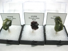 3 Specimens of Uvite Tourmaline (var. Fluor-Uvite-Uvite Series) Brumado, Bahia, Brazil